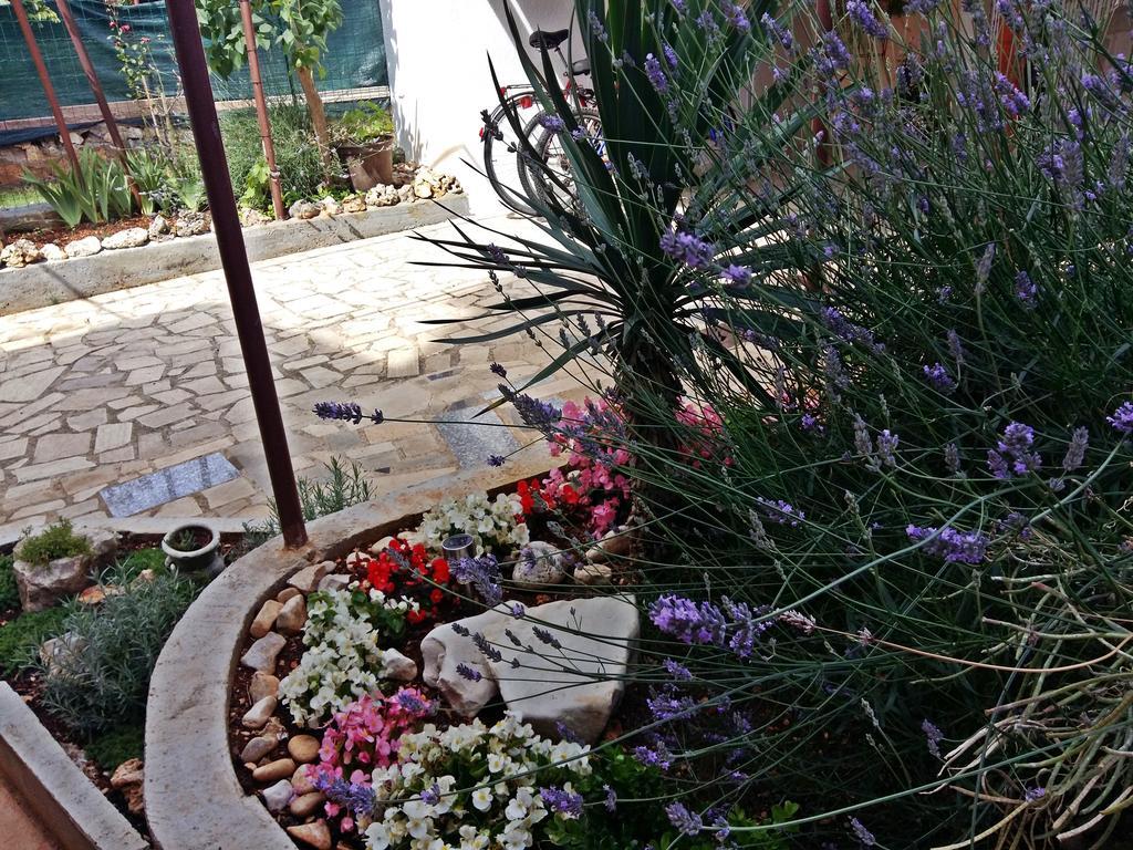 Apartments Anica Rovinj Dış mekan fotoğraf